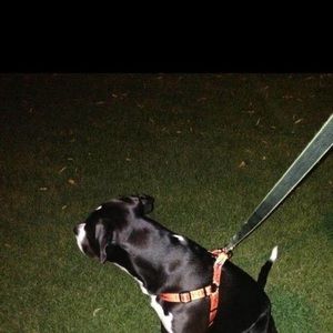 Meet your Posher, Dan